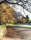 Beech Curve (Marple Canal)