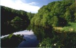 Summer's Evening (Etherow Park)