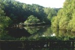 Lake View (Etherow Park)