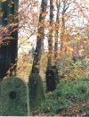 Boundary Stones (Brabyns Park)