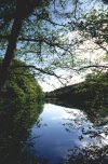 Fishpool Reflections