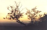 Werneth Low Sunset