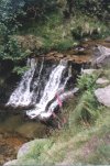Foxglove Waterfall (2)