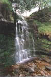 Cascading Waterfall