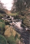 Goyt Valley Head