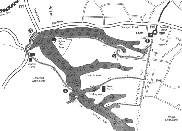 Map for Walk No. 6 - Donkey Wood