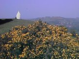 White Nancy