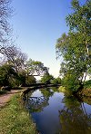 Canal Reflections