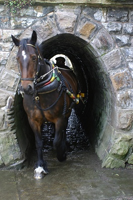 The Horse Tunnel