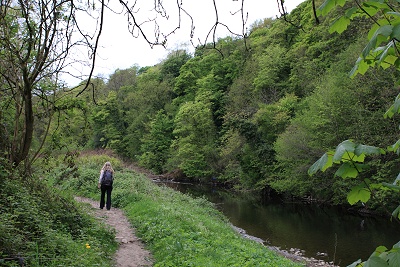 By the River Goyt in 2010