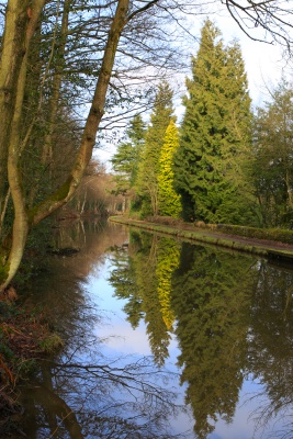 Peak Forest reflections