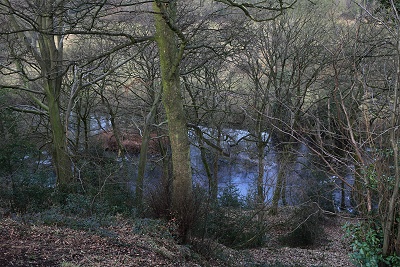 The old ornamental pond visible through the leafless trees