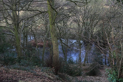 The old ornamental pond visible through the leafless trees