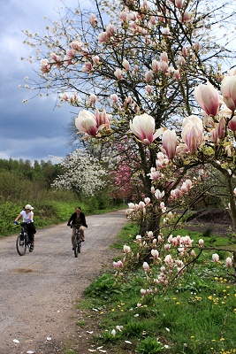 Road past Roman Lake